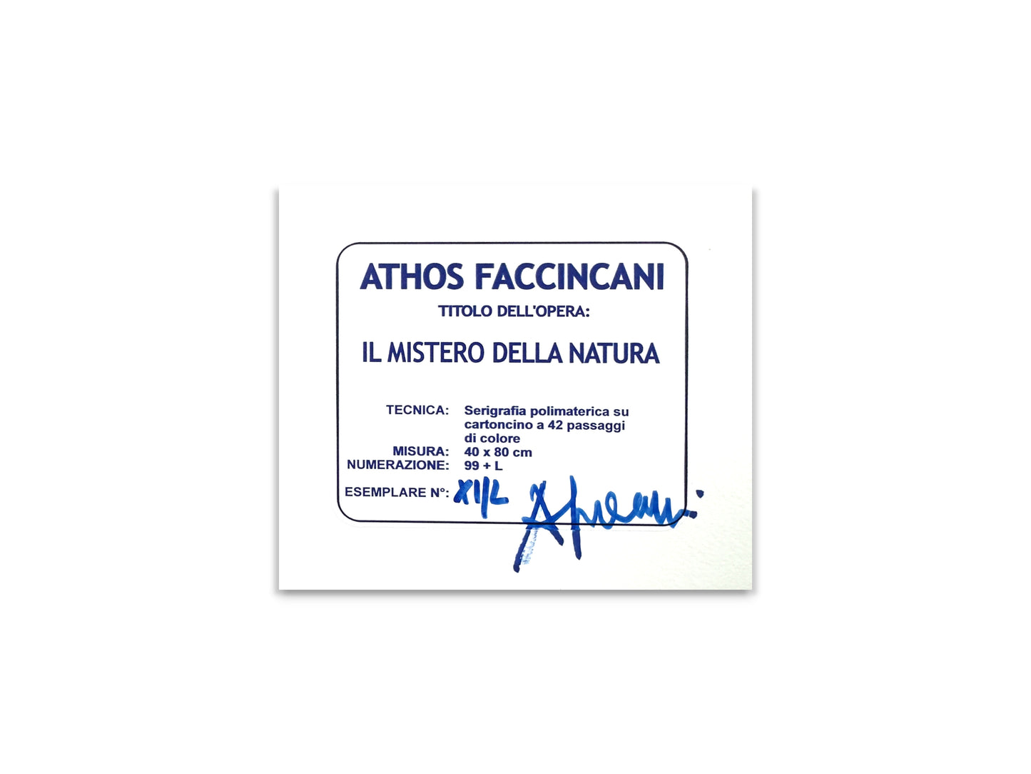 Il mistero della natura - Serigrafia di Athos Faccincani